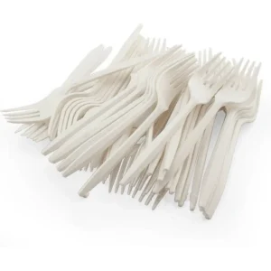 Disposable Fork